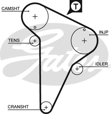 Timing belt for citroën - for,