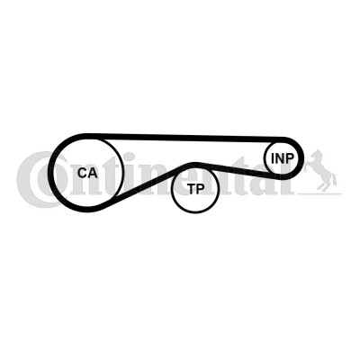 Timing belt for - belt, audi